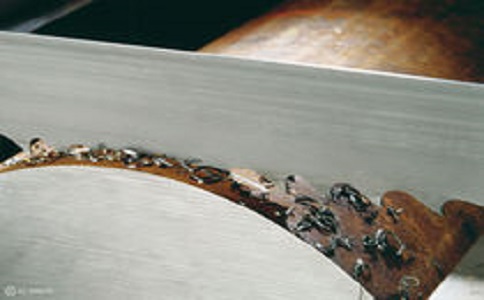 池州带锯床线速度设定过高，为什么会导致带锯条齿尖发热加速锯条的磨损？